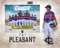 AA.Bentson.Cubs_Pleasant_Tai_143A0480_MM_MM
