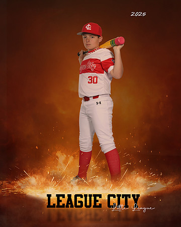 MJR.Powell.Cardinals_Morris_Easton_143A1841_ROF