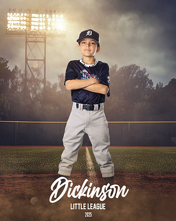 MINORS_HOOKS_Dickson_Grayson_DLL12701_FIELD LIGHTS_