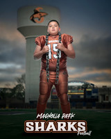 JUNIOR_Sanchez_Fabian_IMGL1396_WATER TOWER_