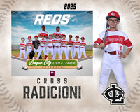 AA.Birkensehr.Reds_Radicioni_Cross_143A0029-2_MM_MM