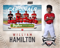 M3_CARDINALS_Hamilton_William_BAY28059_MM