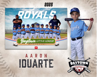 M3_ Royals_Iduarte_Aaron_BAY20162_MM