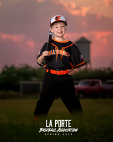 4U_Foal_Orioles_Jarvis_Ryder_LP010395_TRUCK