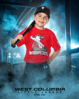 JR MINOR WOODPECKERS_Solis_Slayton_WC010973_DUGOUT_