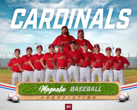 11_12U_Cardinals_Gray_Cole