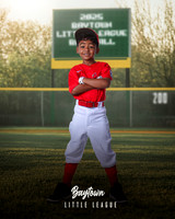 M3_CARDINALS_Hamilton_William_BAY28060_SIGN