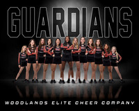 GUARDIANS TEAM PHOTO
