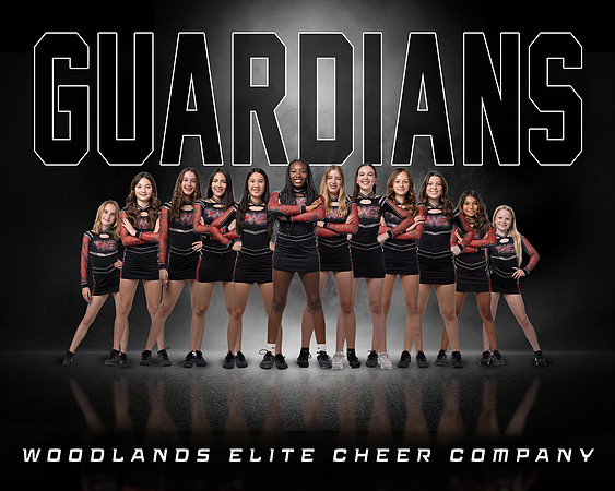 GUARDIANS TEAM PHOTO