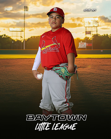MJR_Cardinals_Guerrero_Damian_BAY29720_SUNSHINE