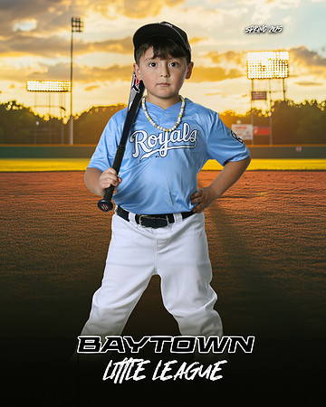 M2_ Royals_Rodriguez_Aaron_BAY29482_SUNSHINE