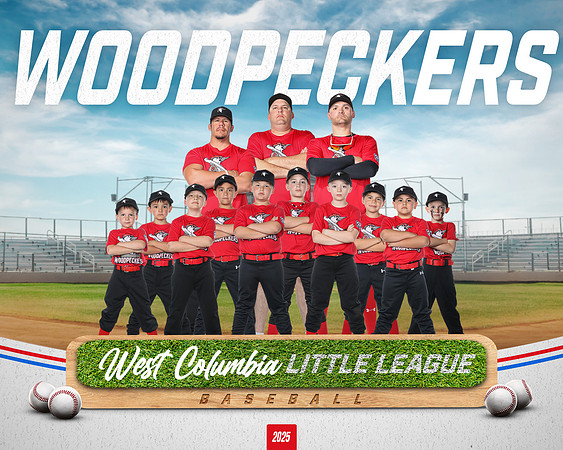 JR MINOR WOODPECKERS_Rios JR_Carlos