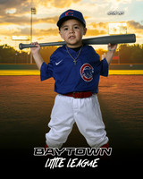 TB_ Cubs_Rodriguez_Santiago_BAY29846_SUNSHINE