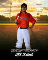 MJR_Astros_Estrada_Ivan_BAY20061_SUNSHINE