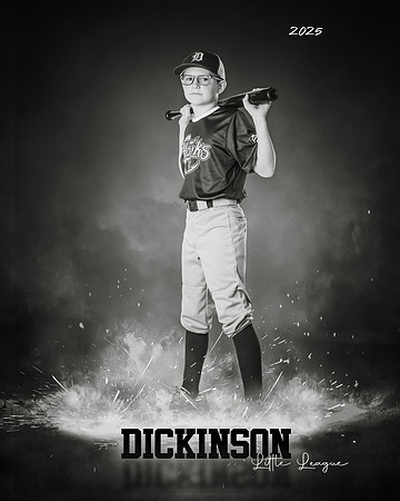 MINORS_HOOKS_Smith_Mason_DLL12304_ROF-BW