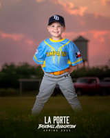 4U_Foal_Rays_OMalley_Atticus_LP010627_TRUCK