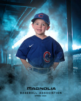 4_5U_Cubs_Reynolds_Walker_MAG26541_DUGOUT_