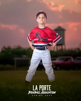 4U_Foal_Cardinals_Gamblin_Palmer_LP022816_TRUCK