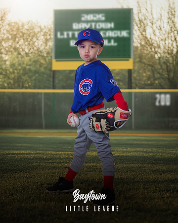 M3_ Cubs_Arana Mendoza_NOAH_BAY12264_SIGN