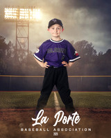 6U_Shetland_Rockies_Kime_Colt_LP023019_FIELDLIGHTS