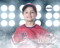 4U_Foal_Cardinals_Gamblin_Palmer_LP022817_LIT