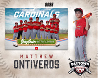 M1_Cardinals_Ontiveros_Matthew_BAY14328_MM