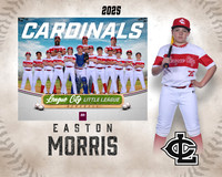 MJR.Powell.Cardinals_Morris_Easton_143A1839_MM