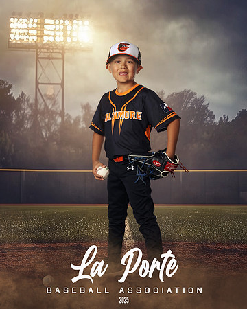 6U_Shetland_Orioles_Dardon_Carlos_LP011329_FIELDLIGHTS