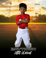 M3_CARDINALS_Hamilton_William_BAY28059_SUNSHINE