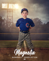 4_5U_Cubs_Mullen_Briggs_MAG26620_FIELD LIGHTS_