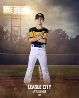 CAM17562-2_FIELD LIGHTS_