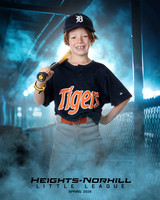 PW_TIGERS_George_Theodore_HN010166_DUGOUT