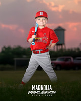 4_5U_Cardinals_Brami_Mason_MAG11655_TRUCK