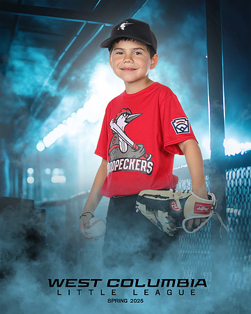 JR MINOR WOODPECKERS_Solis_Slayton_WC010977_DUGOUT_