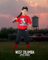 JR MINOR WOODPECKERS_Solis_Slayton_WC010973_TRUCKS_