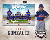 M2_ Mets_Gonzalez_Fidel_BAY12750_MM
