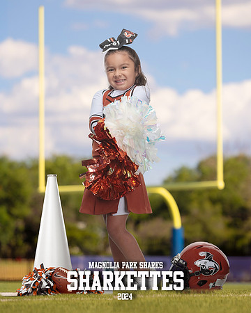 MASCOT_Cuadros_Gianna_IMGL0380_GOAL POST_