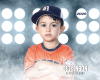 TB_TIGERS_White_Liam_DLL11551_LIT