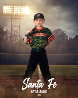 CP5_WOODDUCKS_Theobald_Bowen_IMGL8392_FIELDLIGHTS