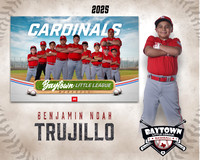 M1_Cardinals_Trujillo_Benjamin Noah_BAY14312_MM
