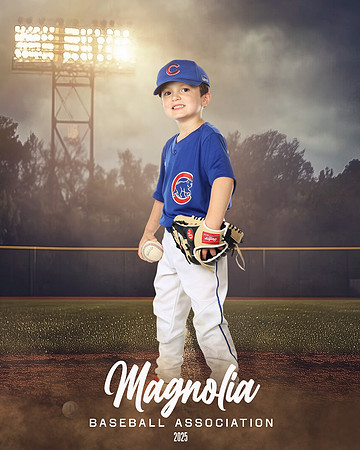 6U_Cubs_McCullen_Gentry_MAG11537_FIELD LIGHTS_