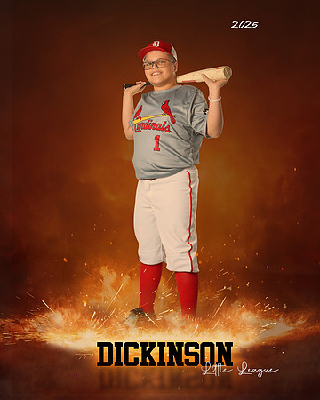 MJR_CARDINALS_Torres_Brody_DLL13158_ROF