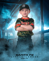 CP5_WOODDUCKS_Theobald_Bowen_IMGL8390_DUGOUT
