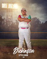 MJR_PADRES_Valdivia_Cesar_DLL20081_FIELD LIGHTS_