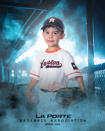 4U_Foal_Astros_Tudon_Thomas_LP022667_DUGOUT