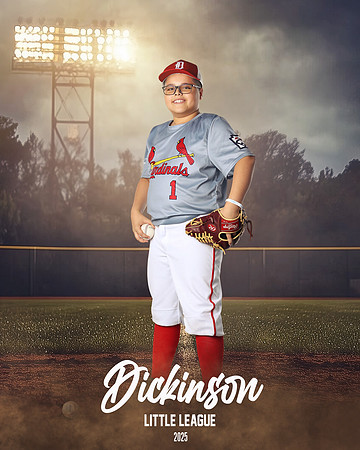 MJR_CARDINALS_Torres_Brody_DLL13160_FIELD LIGHTS_