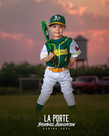 4U_Foal_Athletics_Alanis_Luka_LP010716_TRUCK
