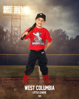 JR MINOR WOODPECKERS_Solis_Slayton_WC010973_FIELD LIGHTS_