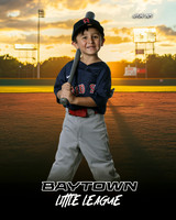 TB_ Red Sox_Michel_Michael_BAY28833_SUNSHINE