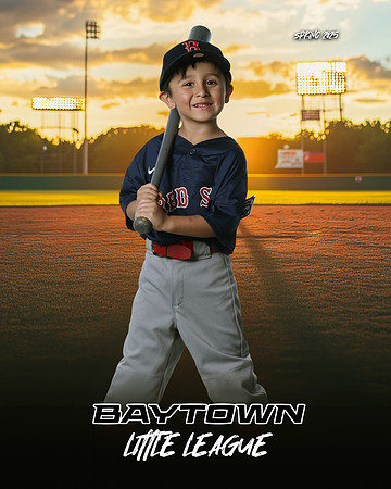 TB_ Red Sox_Michel_Michael_BAY28833_SUNSHINE